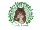 NO* Candy Crush Maine Coon